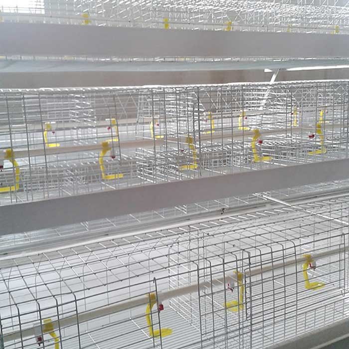 type cage, couche potable automatique de batterie du × 0.4m du × 0.7m de 1.4m cultivant la cage