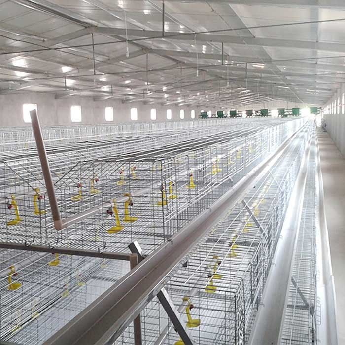 Cage de batterie résistante de Corrision pour des poulets à rôtir, cage de pointe de poulet de contrôle automatique