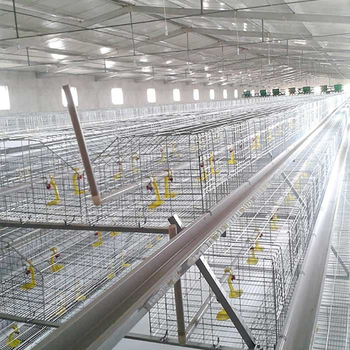Cage de batterie résistante de Corrision pour des poulets à rôtir, cage de pointe de poulet de contrôle automatique