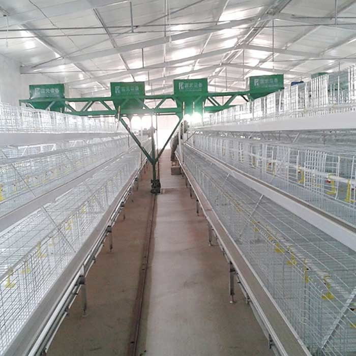 En cultivant le poulet à rôtir mettez en cage un type 3 contrôle automatique de rangées facile à installer
