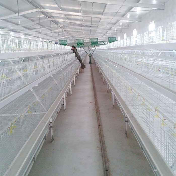 Moins de couleur argentée de travail/économie de l'espace de cage de poulet à rôtir de maladies respiratoires