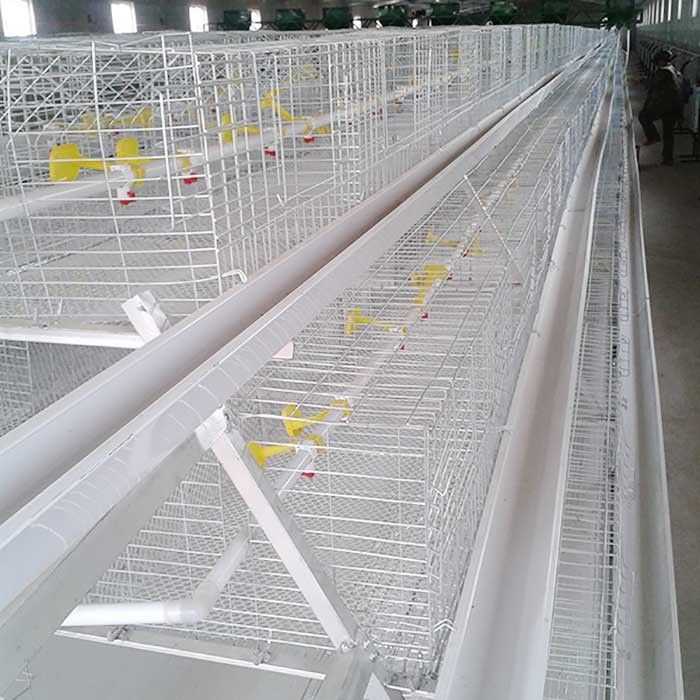 cages de poulet de fil galvanisées par 0.75kw, équipement automatique d'aviculture de couche
