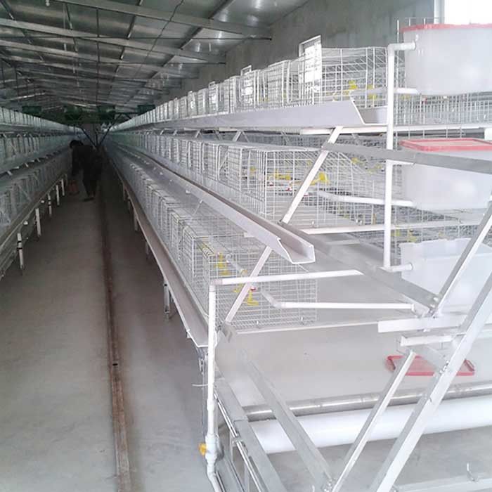 cage de poulet en métal 0.75kw, cages à piles automatisées de contrôle pour la volaille