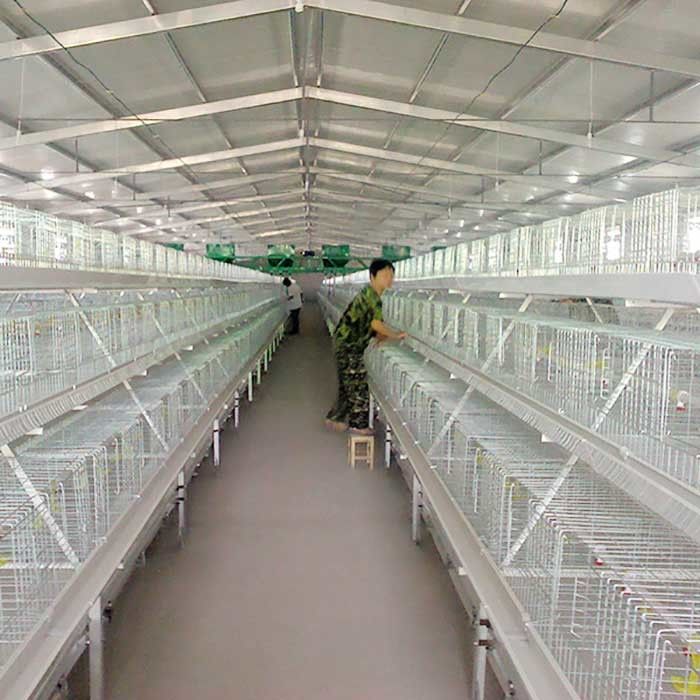 Cages de volaille de fil d'acier de la forme Q235 d'U, poussin de 125 * de 100 * 63mm élevant la cage