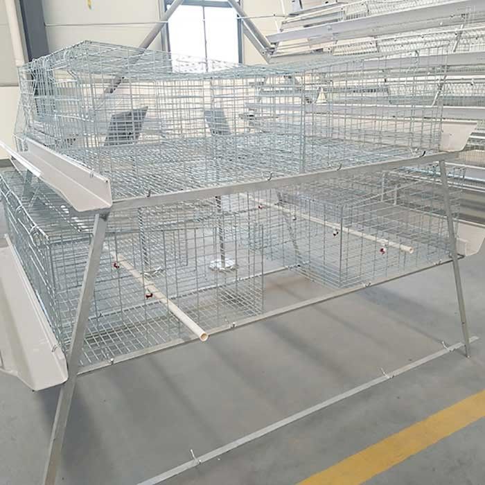 La cage en acier ignifuge pour le poulet, volaille d'intérieur de cage de ferme de grilleur logent
