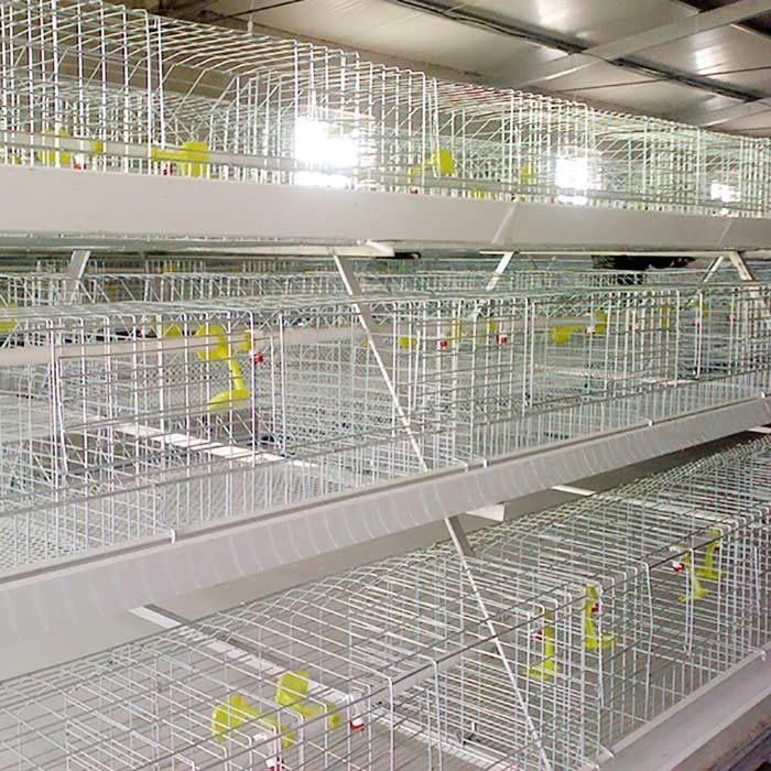 cage de poulet en métal 0.75kw, cages à piles automatisées de contrôle pour la volaille