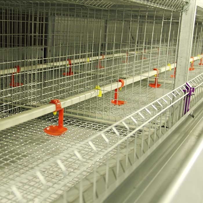 Haute performance du bébé Q235 de poussin de portes multi en acier rigides de cage pour la ferme