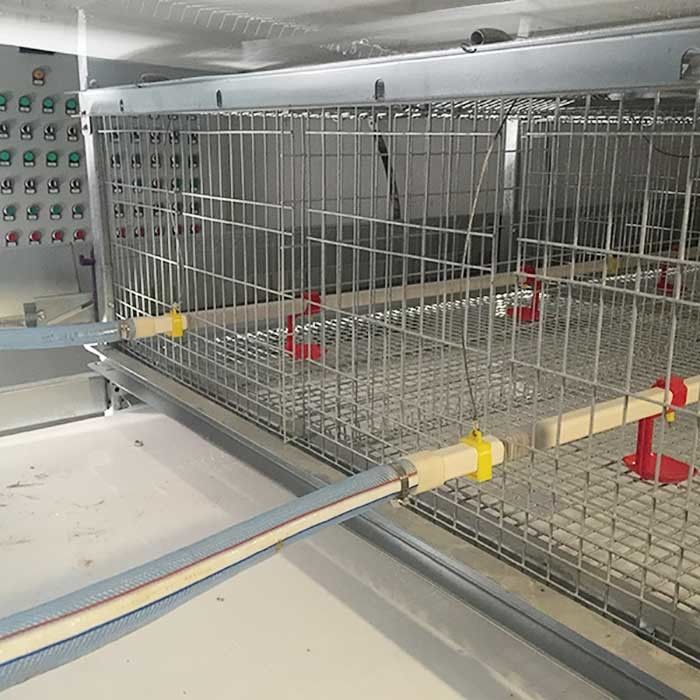 Cages imperméables de la couvée 380V pour des poussins, cages en acier de volaille de forme d'U petites
