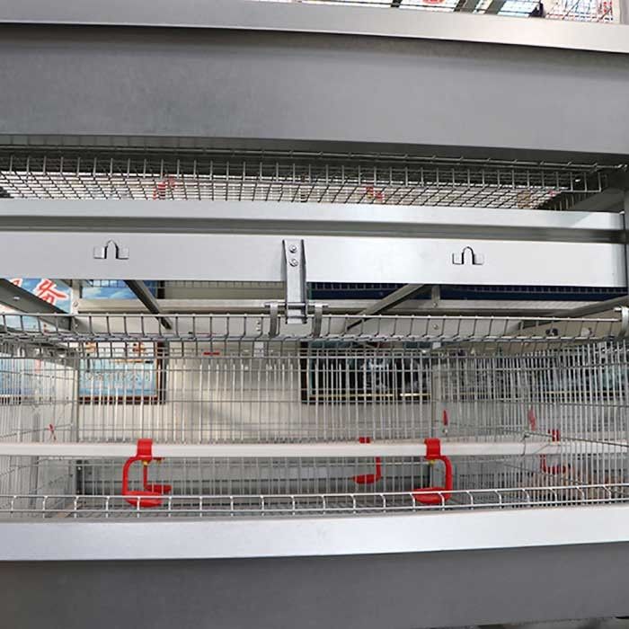 Service moderne commercial de personnalisation de portes de la grande capacité 8 de cage de poussin de bébé
