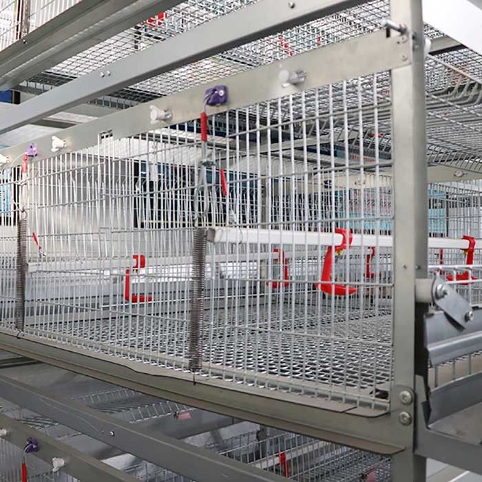 type cages de batterie, cage galvanisée de 120 * de 120 * 59cm H de poulet d'économie de travail