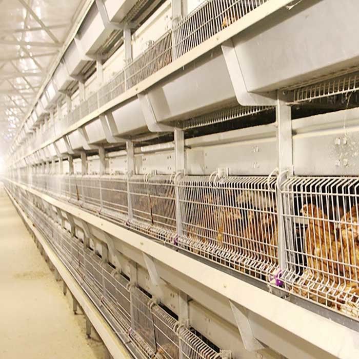 La lumière du jour élevée/l'eau de cage de poussin bébé de ventilation a ajusté écologique