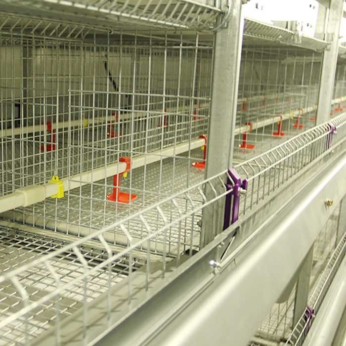 Terre de la maladie de cage de poussin de bébé de puissance de batterie basse faisant gagner 1,5 ans de garantie
