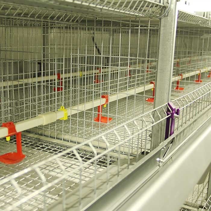 cage de couveuse de poussin de 195 * de 50 * 35CM, agriculture de couche de cage de rendement élevé