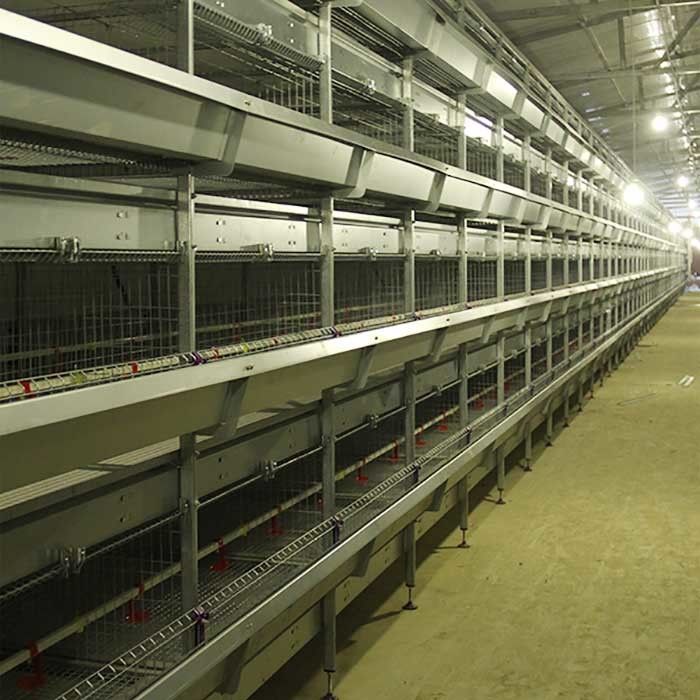 Terre de la maladie de cage de poussin de bébé de puissance de batterie basse faisant gagner 1,5 ans de garantie