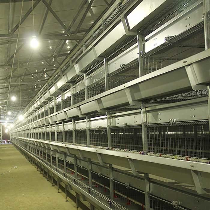 Terre de la maladie de cage de poussin de bébé de puissance de batterie basse faisant gagner 1,5 ans de garantie