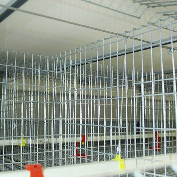 Cage de poussin de bébé de rendement élevé grande capacité facile de nettoyer l'approbation ISO9001