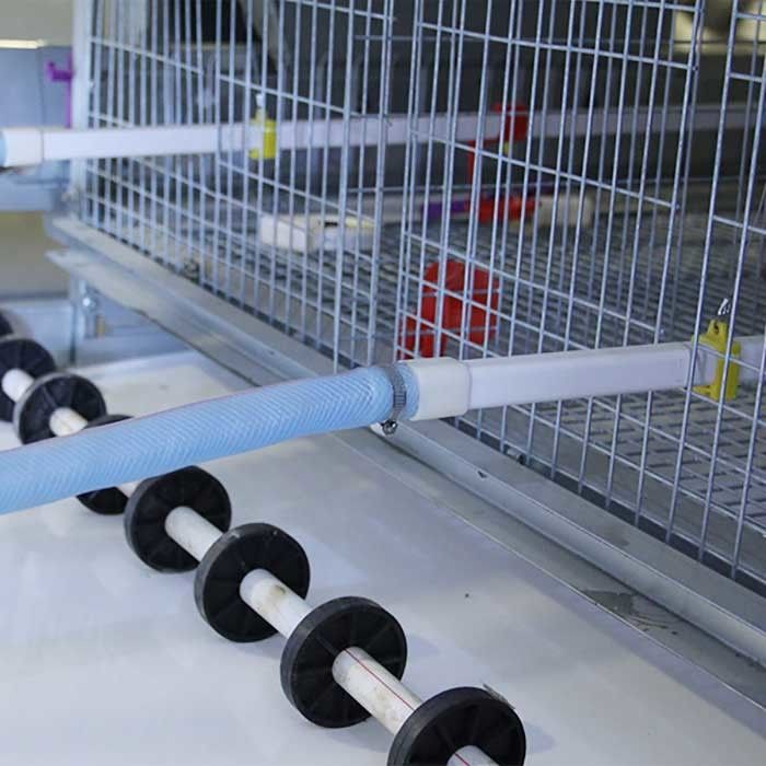 Acier galvanisé une cage pour la volaille, cage automatique de poulet de couche d'échelle