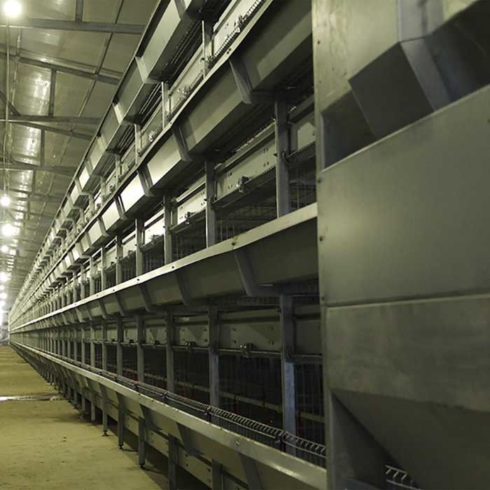 La lumière du jour élevée/l'eau de cage de poussin bébé de ventilation a ajusté écologique