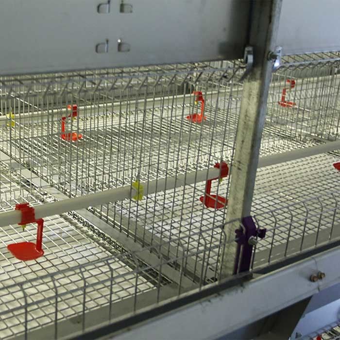 Cage en acier de poulet résistant au feu, cage de poussin de 198 oiseaux avec la lampe de chaleur