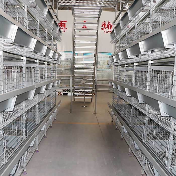 Moins de type cage de couche, équipement de l'incapacité H d'aviculture de couche pour des poulets