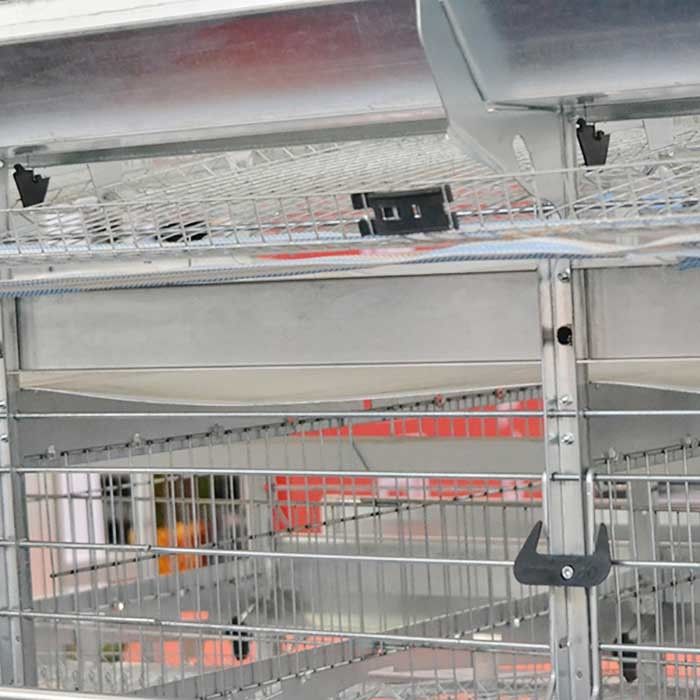 La cage de poulet de couche du fil d'acier Q235 conçoivent en fonction du client avec système de alimentation/potable