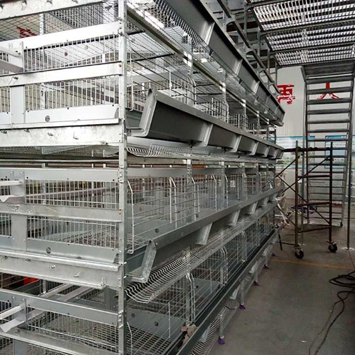 économie de travail de contrôle automatique de cage de poulet de volaille de 120 * de 60 * 70cm écologique