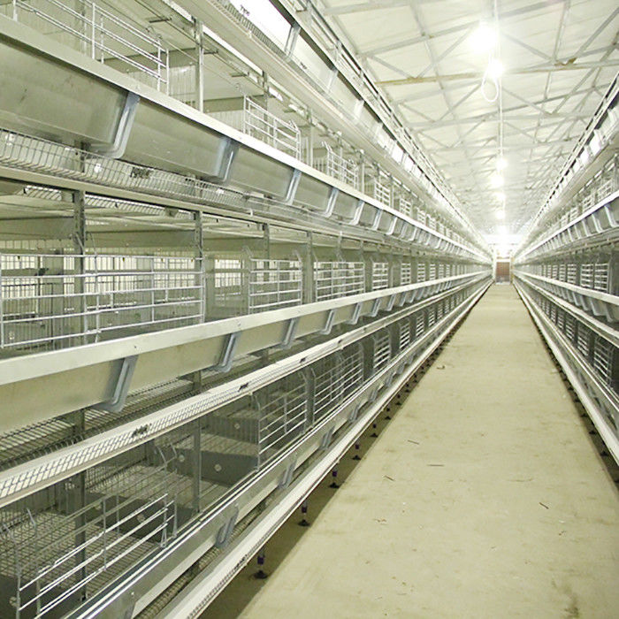 Type automatique représentation stable de H de système de cage de poulet de couche puissante