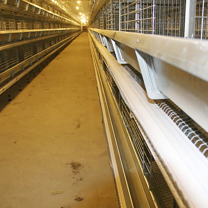 Type automatique représentation stable de H de système de cage de poulet de couche puissante