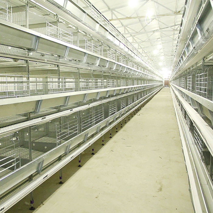 Type automatique représentation stable de H de système de cage de poulet de couche puissante