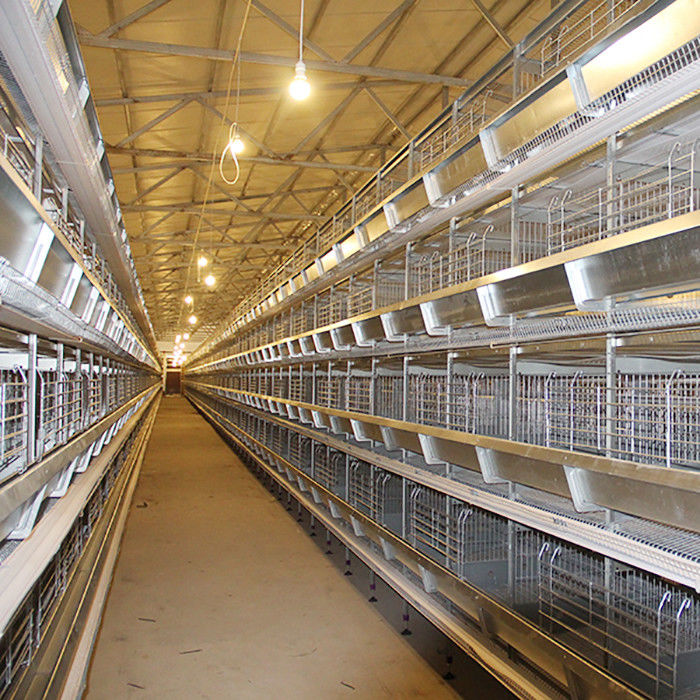Cage puissante de ferme avicole, type de H cage de poulet de couche avec le système d'aération