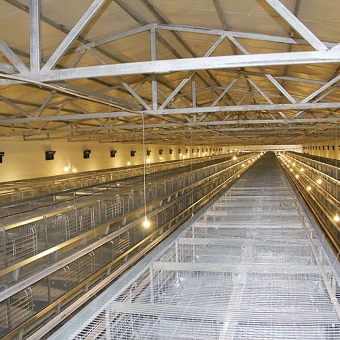 Type automatique représentation stable de H de système de cage de poulet de couche puissante