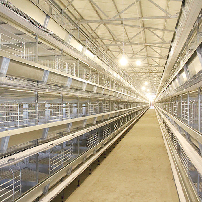 Étendant la cage automatique de poulet d'oeufs, la ferme de large échelle s'étendent librement cage de poulet