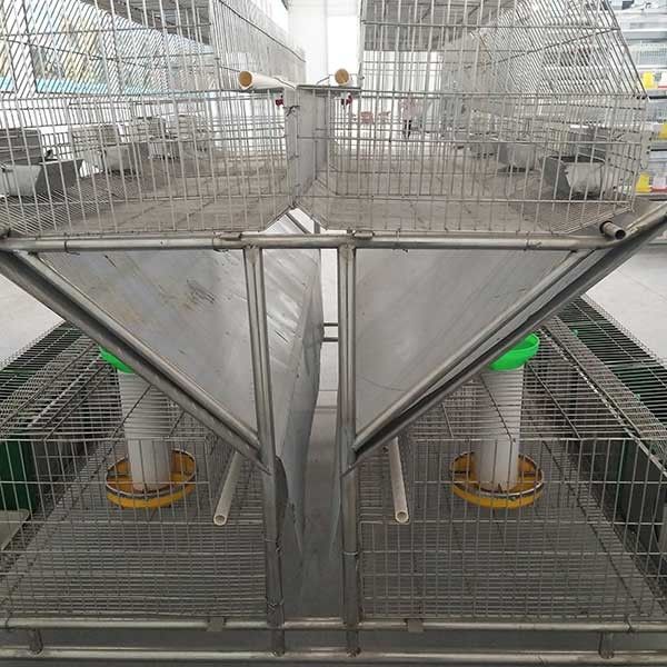 fil d'acier de la cage Q235 de lapin de ferme 2400 * de 2000 * de 1500mm/matière plastique