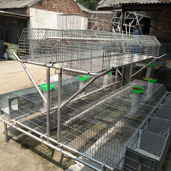 L'élevage commercial de lapins de 2 couches met en cage la boisson et le nettoyage automatiques