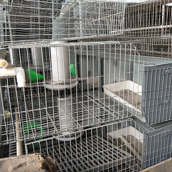24 biens faciles fonctionnants de nettoyage de rangées de la cage deux de lapin de ferme de batterie de cellules