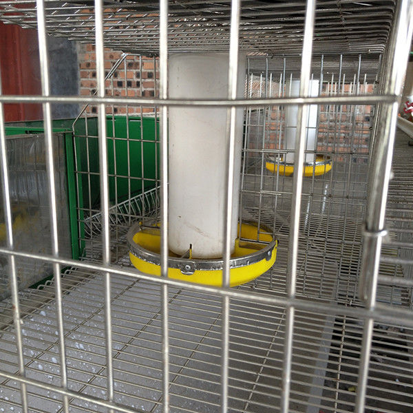 L'élevage commercial de lapins de 2 couches met en cage la boisson et le nettoyage automatiques