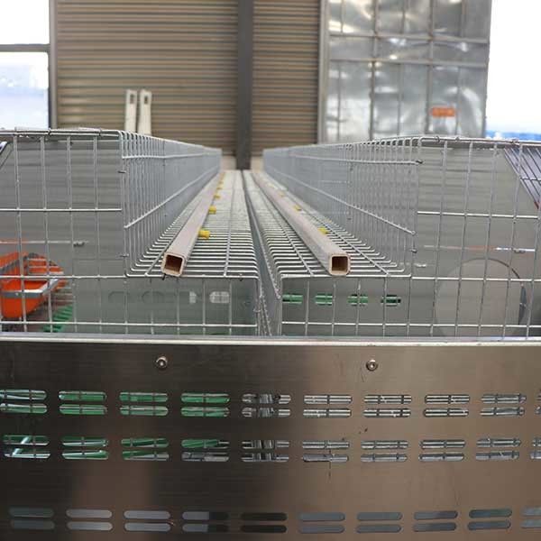 Fil d'acier futé confortable de la cage Q235 de lapin de ferme/matière plastique