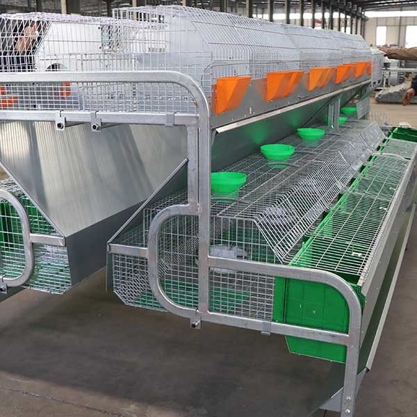 cage de lapin de ferme de 2400 * de 2000 * 1500mm pour s'élever/multipliant l'expédition de conteneur