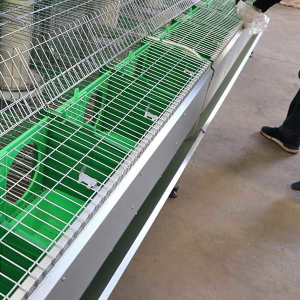 Basse cage de lapin de rangée de double de taux de mortalité, vers le haut des lapins de bébés de la rangée 50 - 80 dans les cages