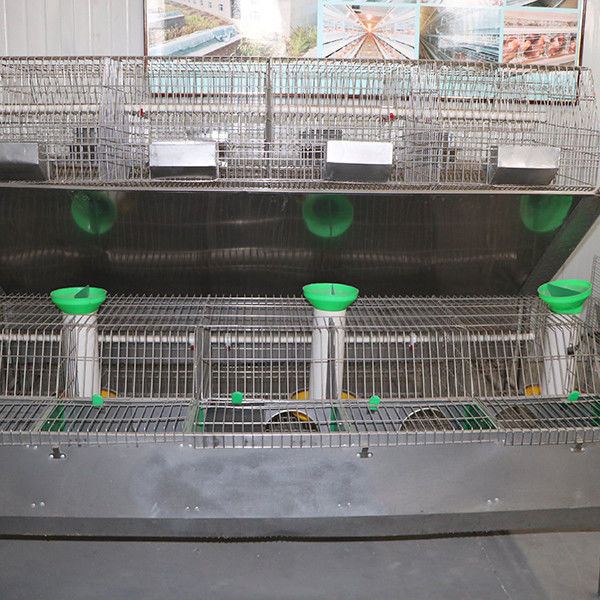 Cage de lapin de l'éleveur 240 * 200 * 150cm, cage rigide de lapin de fil avec le plateau