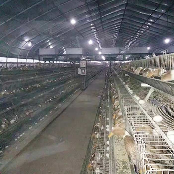 Une ferme avicole de Duck Breeding Farming Cage For de couche de poulet de cadre