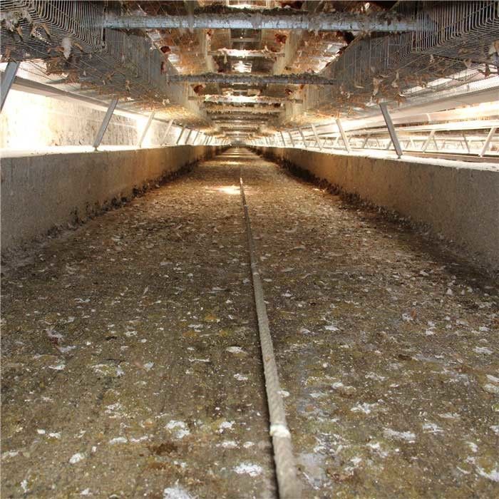 Longue garantie de représentation d'engrais d'enlèvement de puissance automatique régulière du système 0.75kw