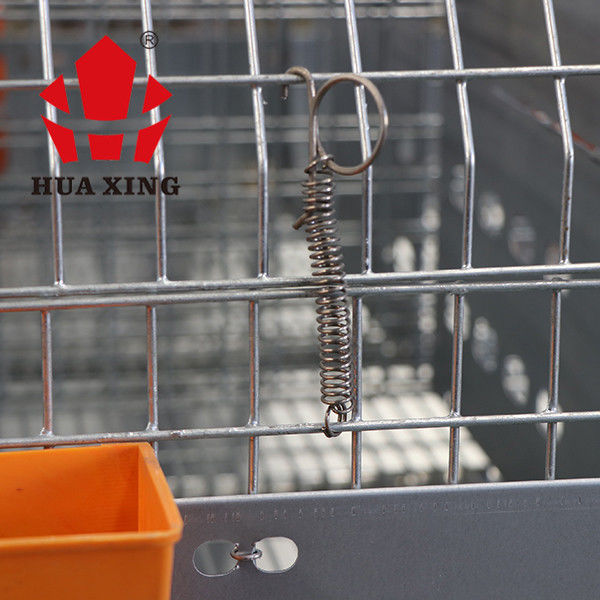 Ferme femelle de lapin de cage en métal de cage galvanisée à chaud animale de volaille multipliant des cages au Kenya
