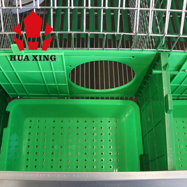 Cages automatiques de volaille de lapin de bébé de mère d'équipement de lapin de cage industrielle d'élevage avec la cage de lapin de batterie de nid pour S