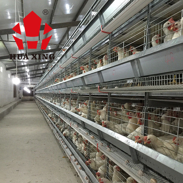 Cage de poulet de couche de batterie avec l'équipement d'aviculture pour le bétail animal d'agriculture de volaille