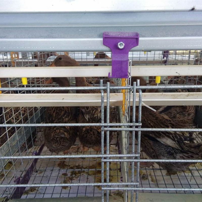 Les équipements de Duck Cage Laying Duck Farming d'usine de la Chine 3 rangées posent Duck Poultry Cages