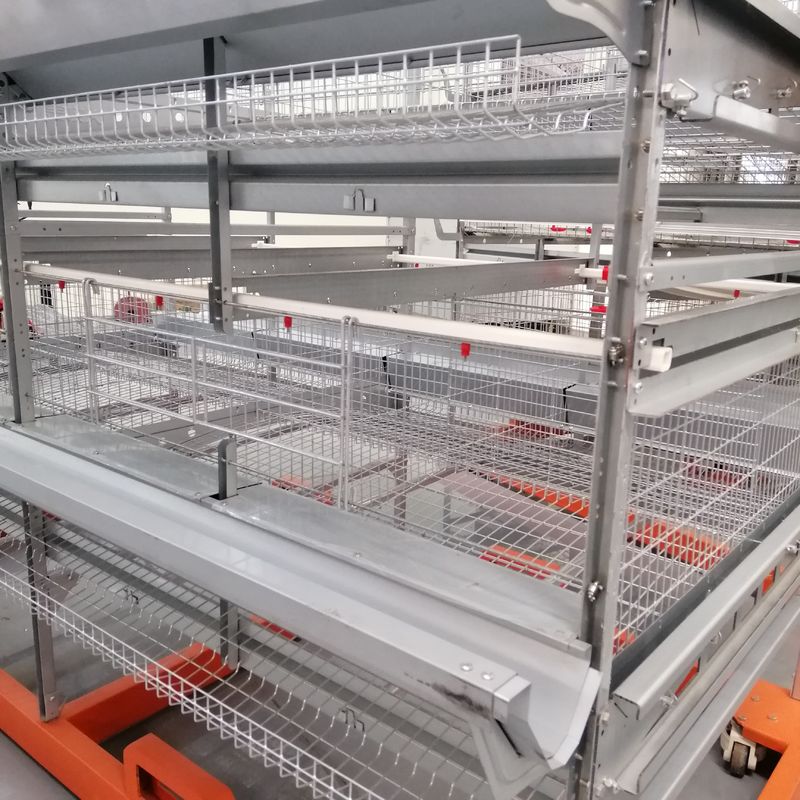 La couche d'équipements/oeufs d'aviculture met en cage/Duck Cage For Malaysia Farms en acier