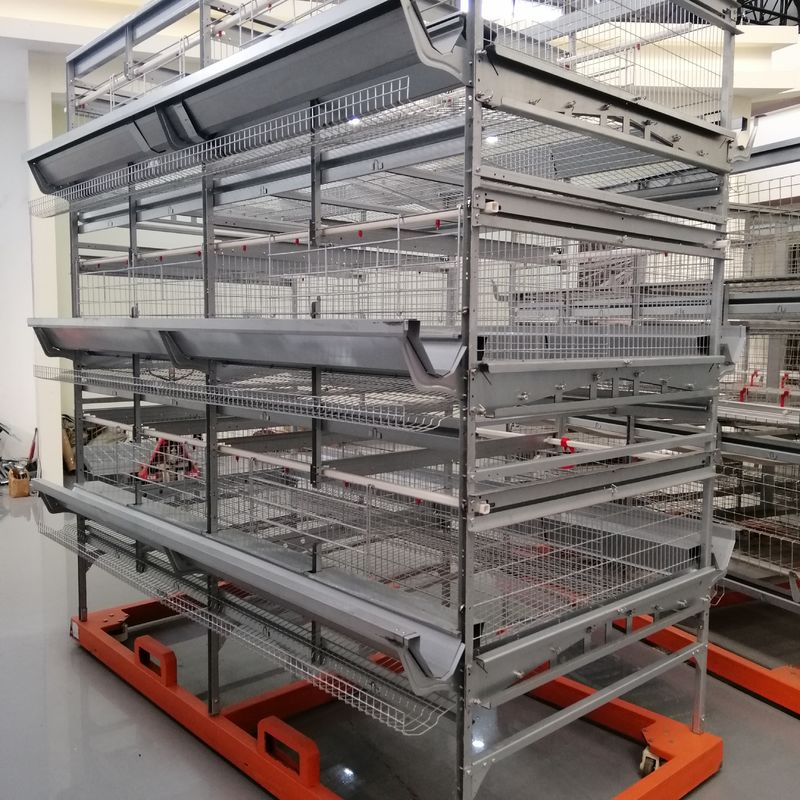 Cage automatique durable de Duck Cage Factory Commercial Duck pour des oeufs