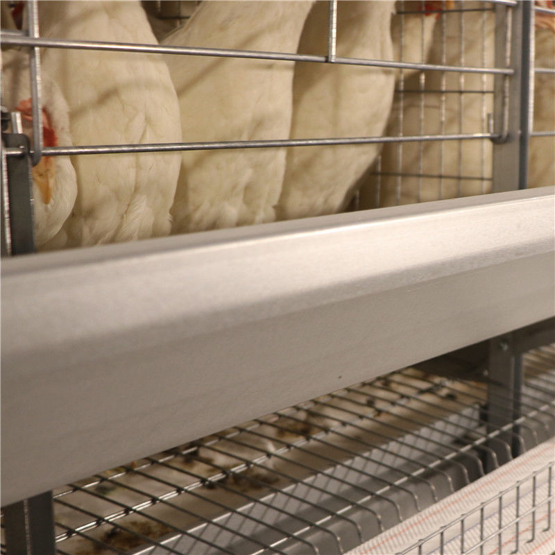 Résistance de corrosion de ferme avicole de cage de poulet de couche de batterie d'oeufs de GV