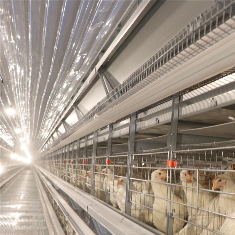 Résistance de corrosion de ferme avicole de cage de poulet de couche de batterie d'oeufs de GV
